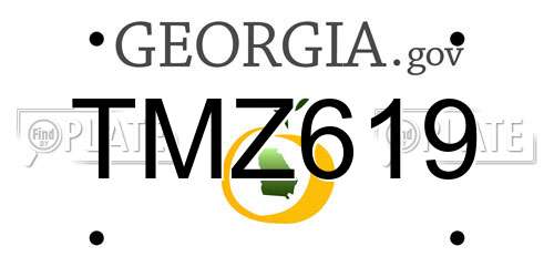 TMZ619 Georgia License Plate