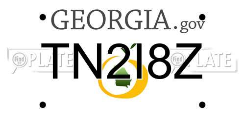 TN2I8Z Georgia License Plate