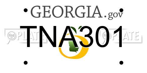 TNA301 Georgia License Plate