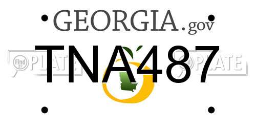 TNA487 Georgia License Plate