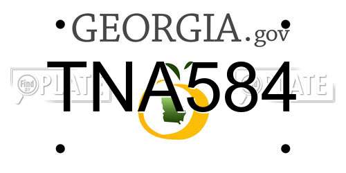 TNA584 Georgia License Plate