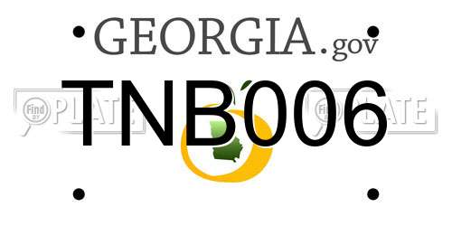 TNB006 Georgia License Plate
