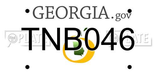 TNB046 Georgia License Plate