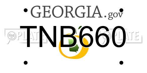 TNB660 Georgia License Plate