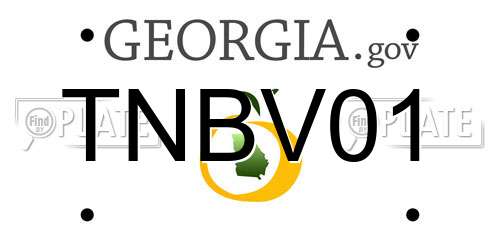 TNBV01 Georgia License Plate