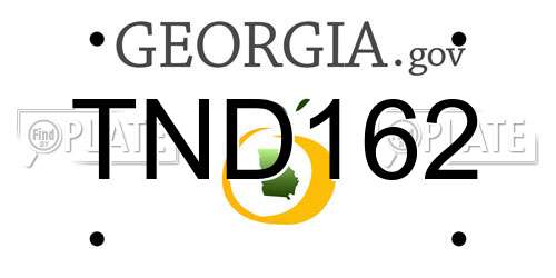 TND162 Georgia License Plate