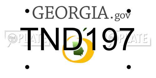 TND197 Georgia License Plate