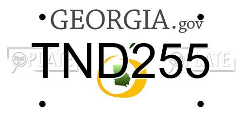 TND255 Georgia License Plate