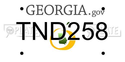 TND258 Georgia License Plate