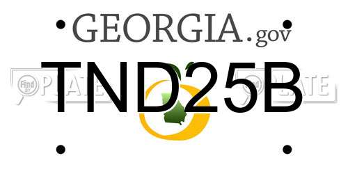 TND25B Georgia License Plate