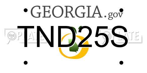 TND25S Georgia License Plate