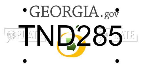 TND285 Georgia License Plate