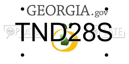TND28S Georgia License Plate