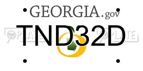 TND32D Georgia License Plate