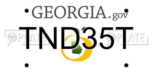 TND35T Georgia License Plate