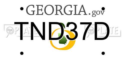TND37D Georgia License Plate