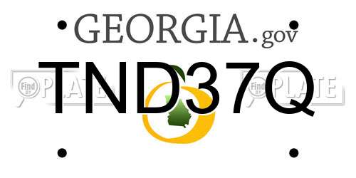 TND37Q Georgia License Plate