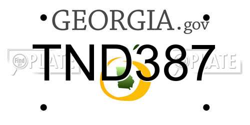 TND387 Georgia License Plate