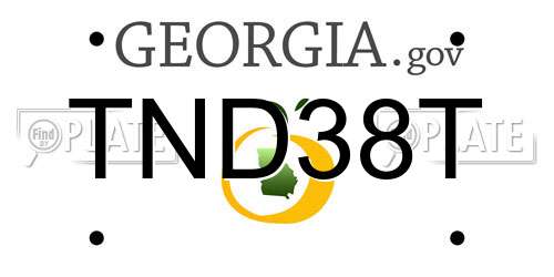 TND38T Georgia License Plate