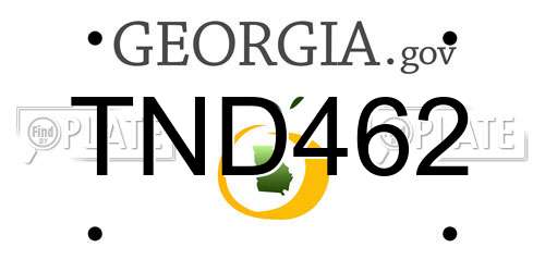 TND462 Georgia License Plate