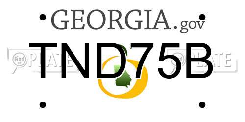 TND75B Georgia License Plate