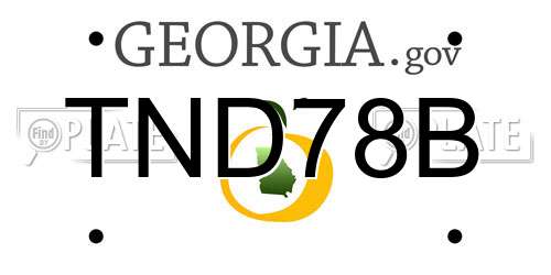 TND78B Georgia License Plate