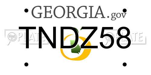 TNDZ58 Georgia License Plate