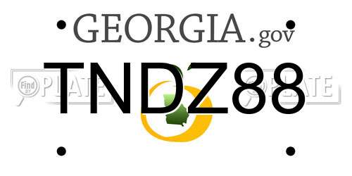 TNDZ88 Georgia License Plate