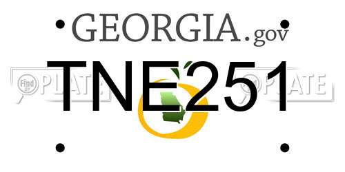 TNE251 Georgia License Plate
