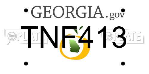 TNF413 Georgia License Plate