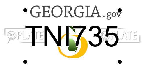 TNI735 Georgia License Plate