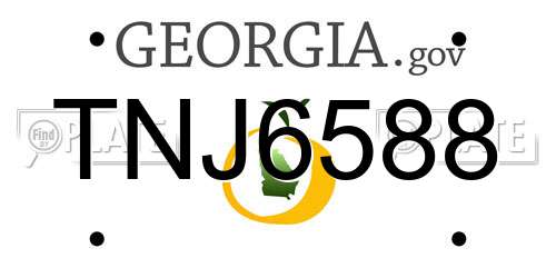 TNJ6588 Georgia License Plate
