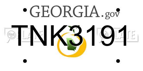 TNK3191 Georgia License Plate