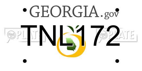 TNL172 Georgia License Plate