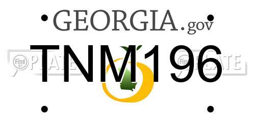 TNM196 Georgia License Plate