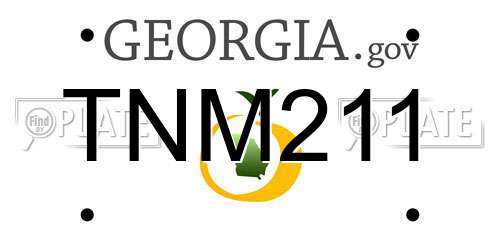 TNM211 Georgia License Plate