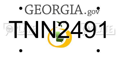 TNN2491 Georgia License Plate