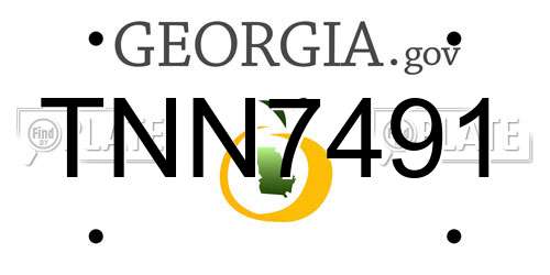 TNN7491 Georgia License Plate