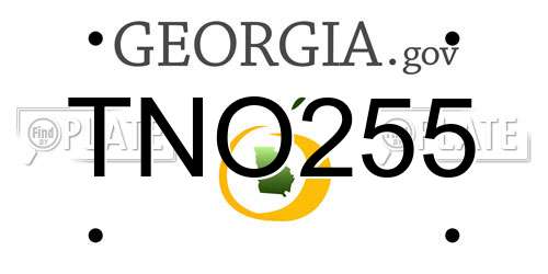 TNO255 Georgia License Plate
