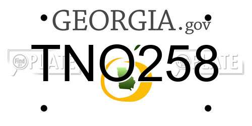TNO258 Georgia License Plate