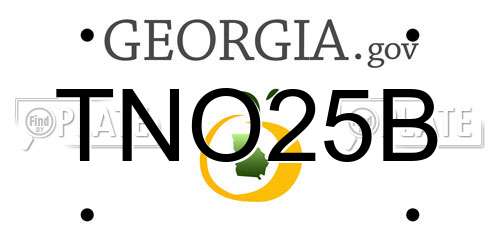 TNO25B Georgia License Plate