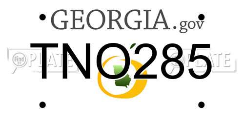 TNO285 Georgia License Plate