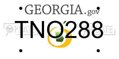 TNO288 Georgia License Plate
