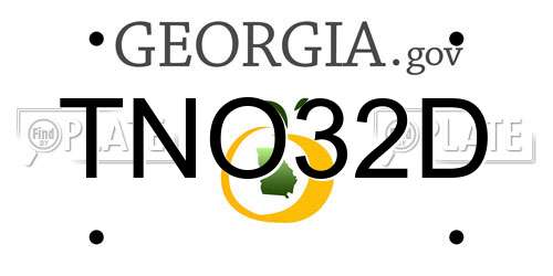 TNO32D Georgia License Plate