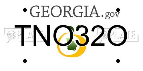 TNO32O Georgia License Plate
