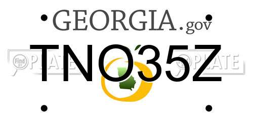 TNO35Z Georgia License Plate