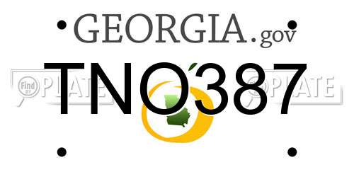 TNO387 Georgia License Plate