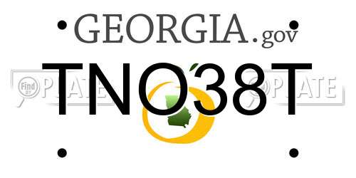 TNO38T Georgia License Plate