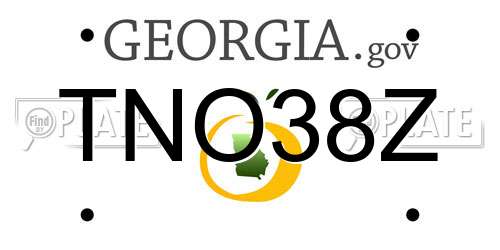 TNO38Z Georgia License Plate