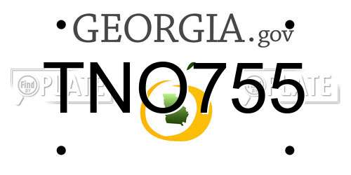 TNO755 Georgia License Plate